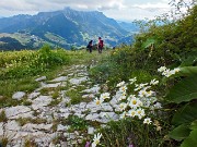 83 Tra estese fioriture